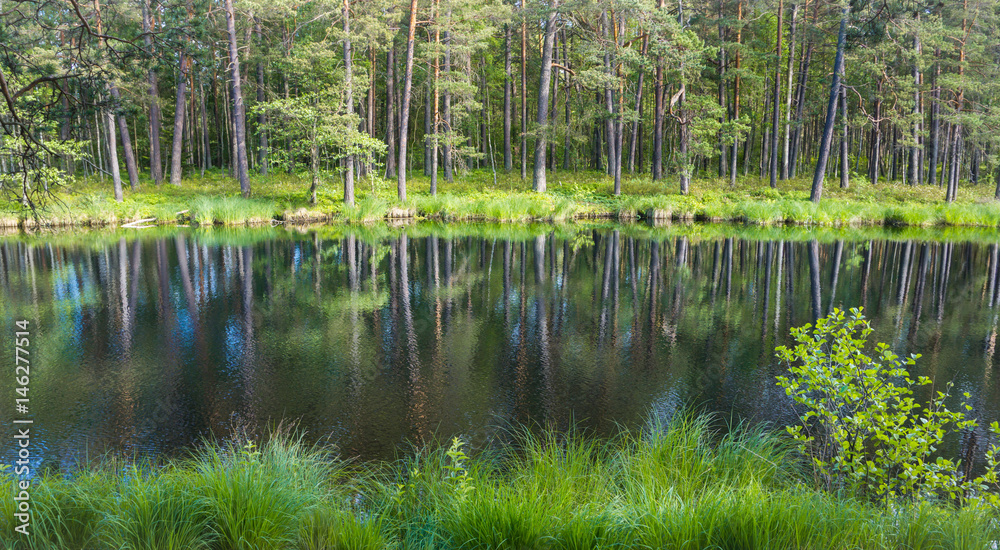 Landscape of still water of the river with colorful reflections of the trees Landscape of still water of the river with colorful reflections of the trees