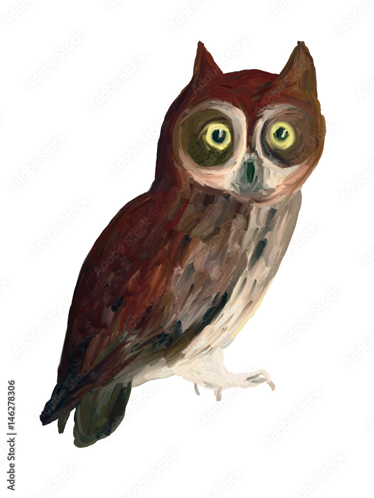 Naklejka premium Oil Painting Owl on White Background - Drawing Portrait of Bird