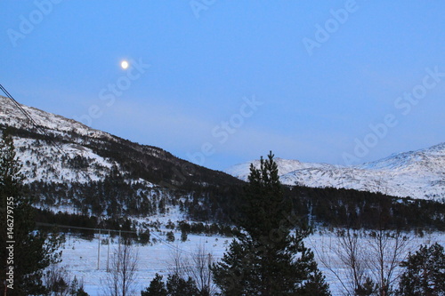 Winter moon