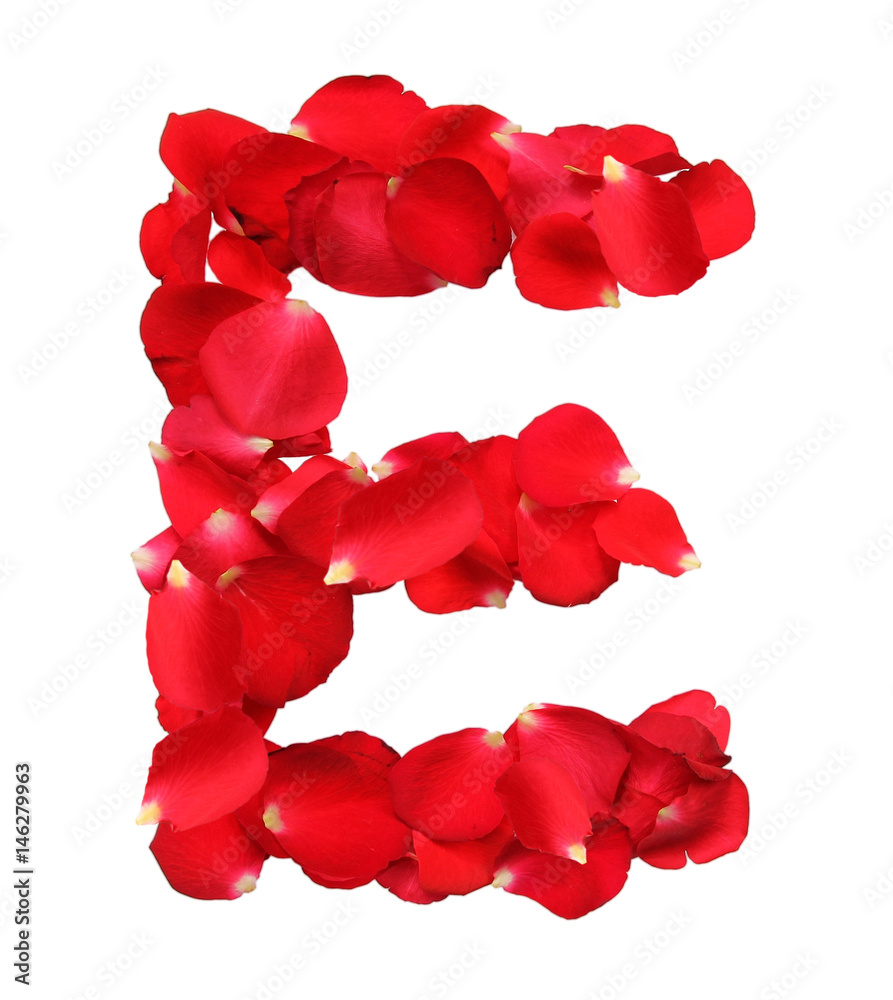 Alphabet E formed by red rose petals on white background Alphabet E formed by red rose petals on white background
