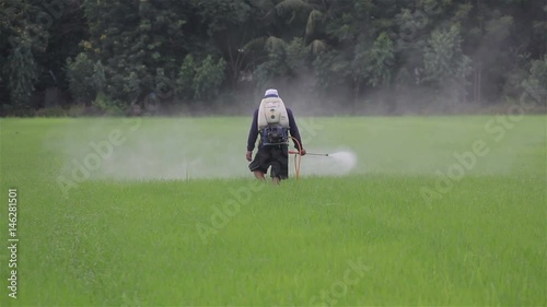 farmer spraying pesticide in rice farm