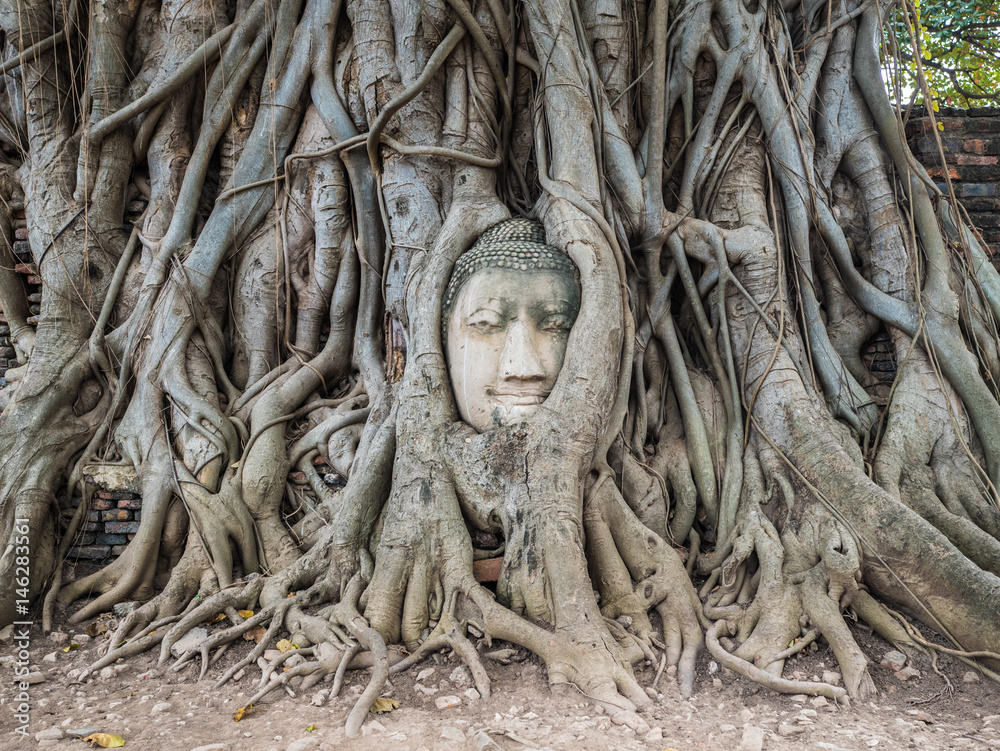 タイ アユタヤの仏頭 -Buddha Head in Tree Roots, Wat Mahathat, Ayutthaya