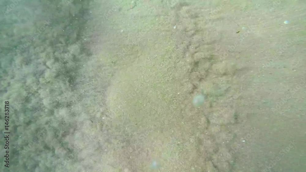 Waves and their beauty, an underwater perspective in slow motion - 7 Waves and their beauty, an underwater perspective in slow motion - 7