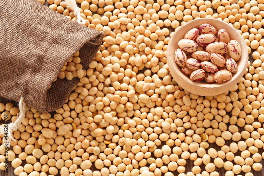 Obraz premium Soy and beans