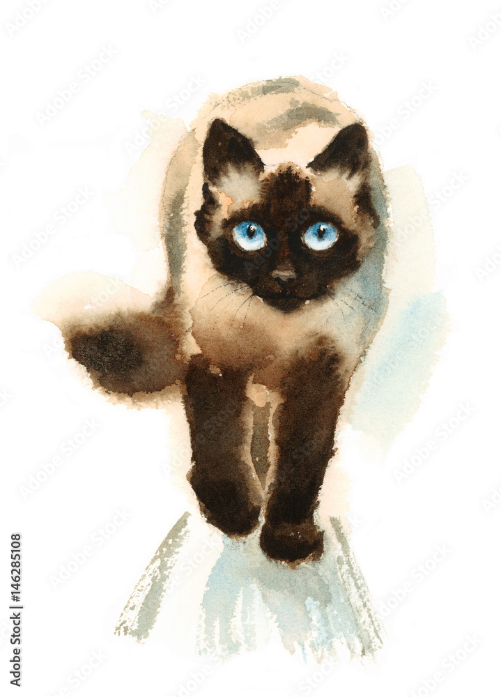 Watercolor Siamese Cat 