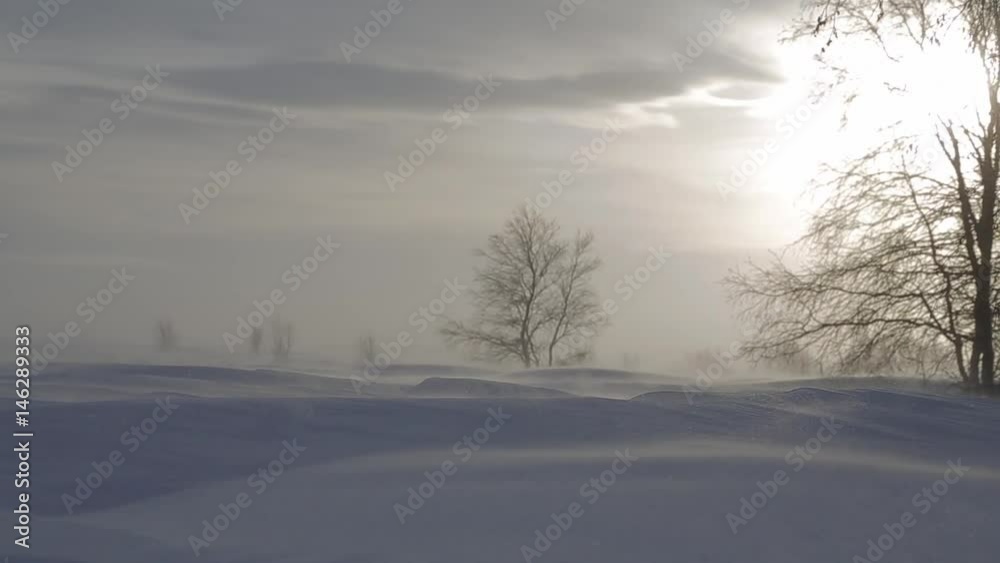 Snowy Tundra, winter landscapes of Russian North pole Snowy Tundra, winter landscapes of Russian North pole