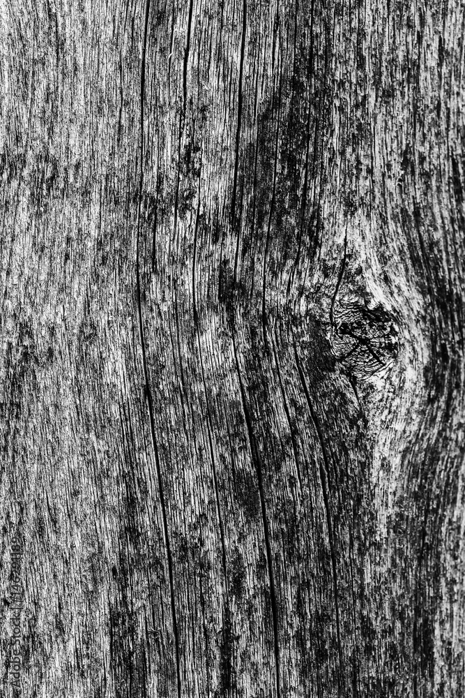 Obraz premium Old wooden background