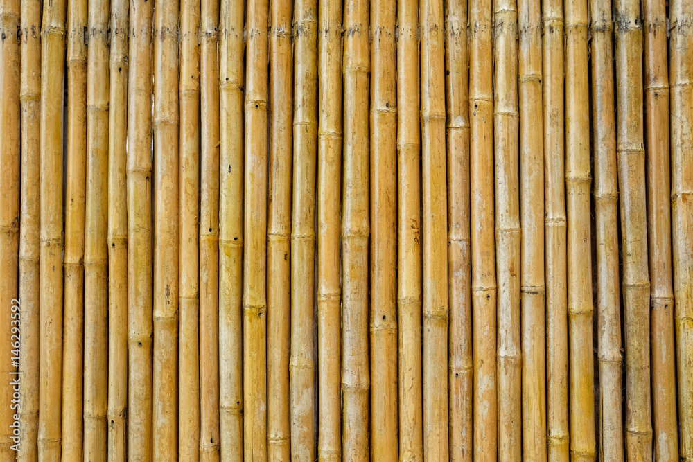 Fototapeta premium Bambusowe Tło