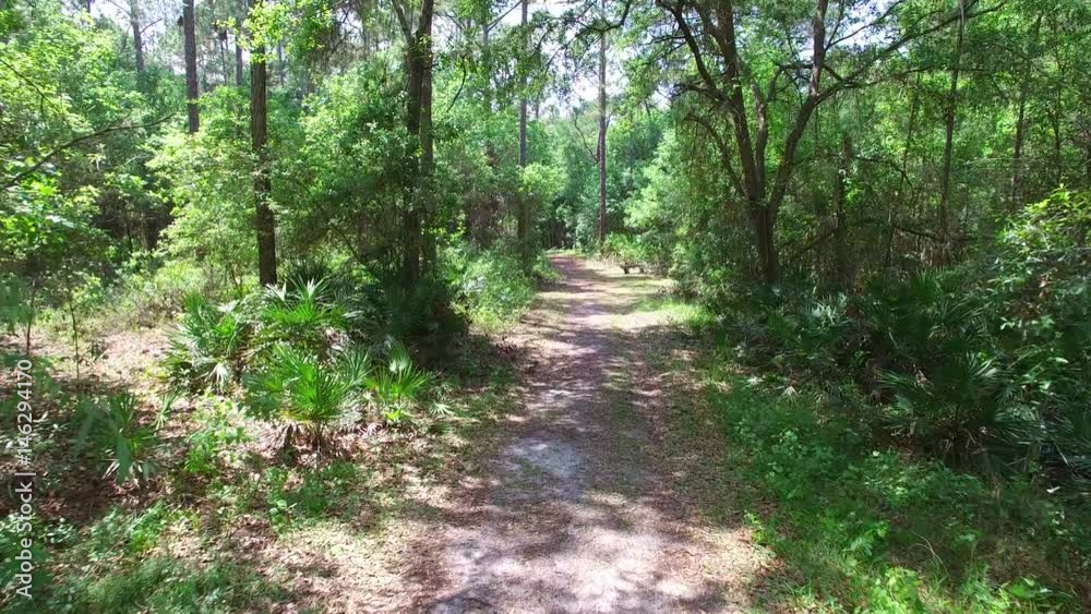 Aerial of forest in Central Florida 4K - 6 Aerial of forest in Central Florida 4K - 6
