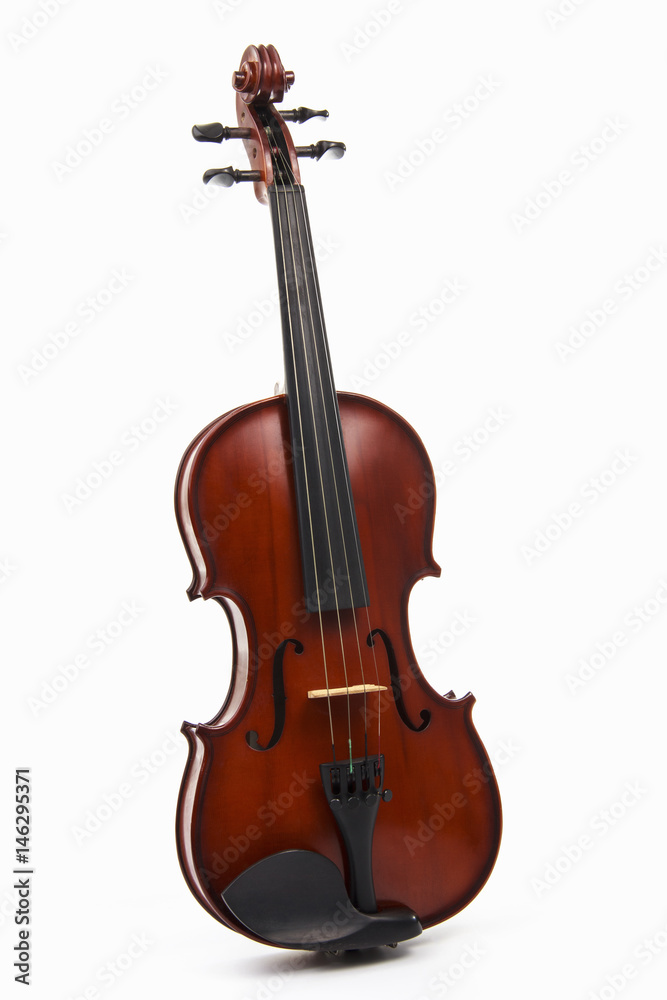 violin isolated on white background violin isolated on white background