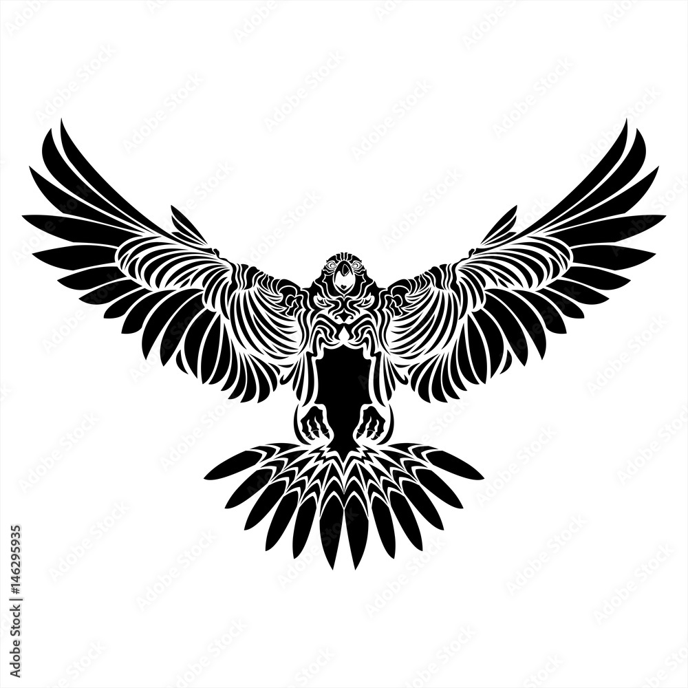 Fototapeta premium falcon1