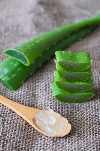 Aloe vera
