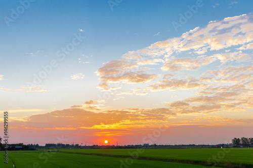 sunrise over rice fields, Thailand.