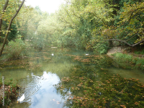 The autumn lake