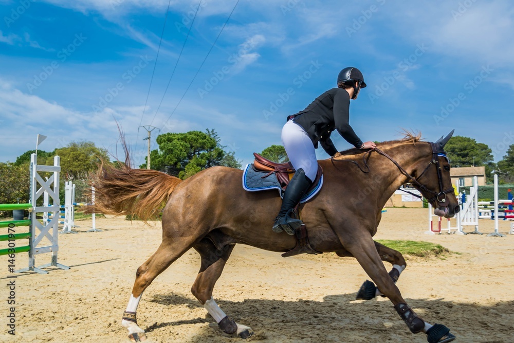 Equitation, saut d'obstacles, compétition. Equitation, saut d'obstacles, compétition.