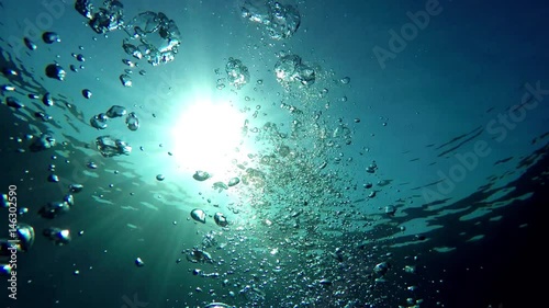 The underwater views of the ocean with its inhabitants - 6