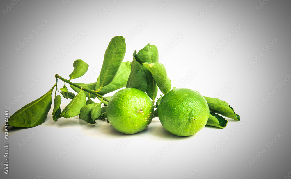 Obraz premium Thai lemon and green leaves isolated on white