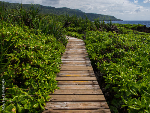 Jungle boardwalk, Christmas Island