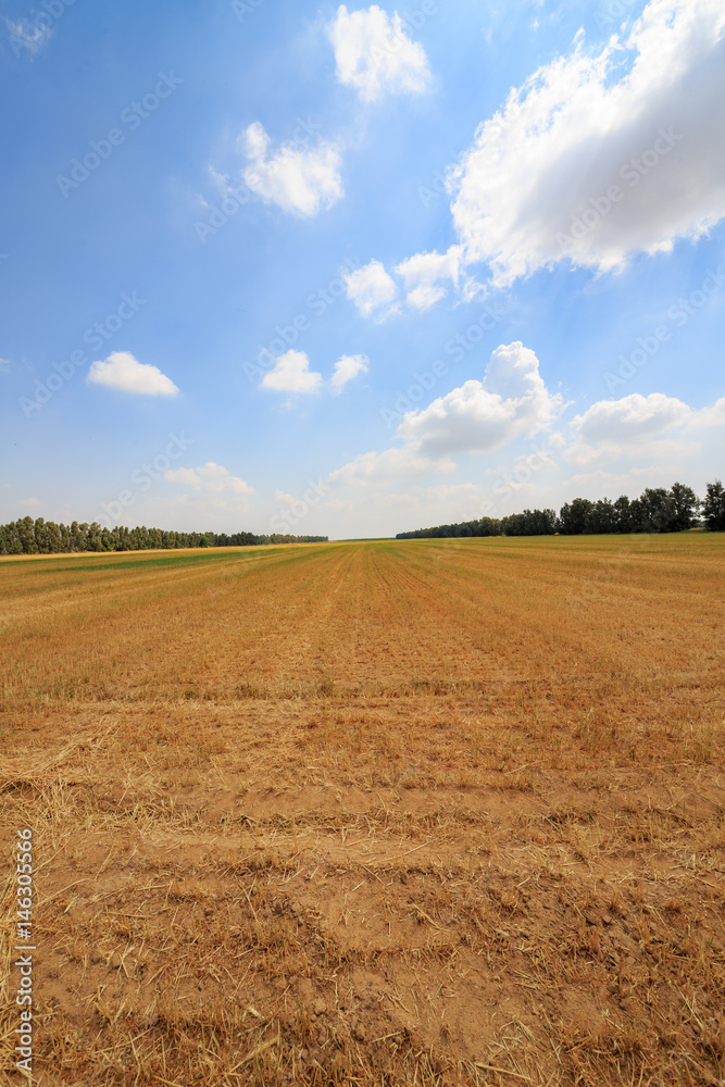 Big empty field under white clouds