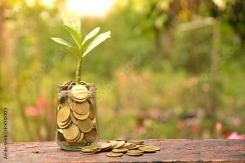 Coins in glass with tree for business and tax season.