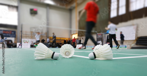 Obraz na płótnie badminton - badminton courts with players
w salonie