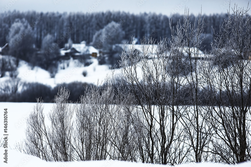 Snow-covered winter russian forest Snow-covered winter russian forest