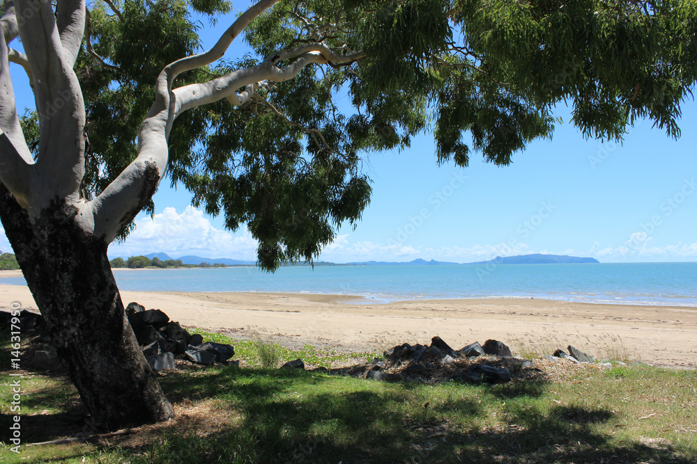Shady tree with beach view and coastline