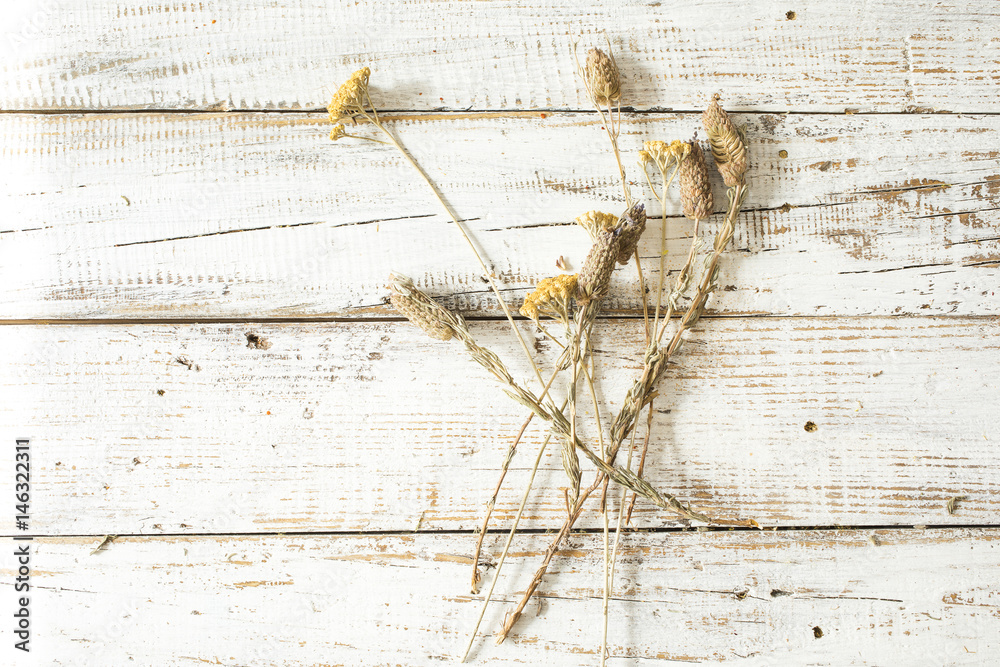Spices and herbs on wooden background Spices and herbs on wooden background