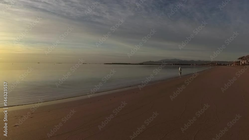Sunrise time on beach. Beautiful calm sea waves motion. And white bird walks calmly. Egypt. Wide angle real time video footage shot with action camera. Sunrise time on beach. Beautiful calm sea waves motion. And white bird walks calmly. Egypt. Wide angle real time video footage shot with action camera.