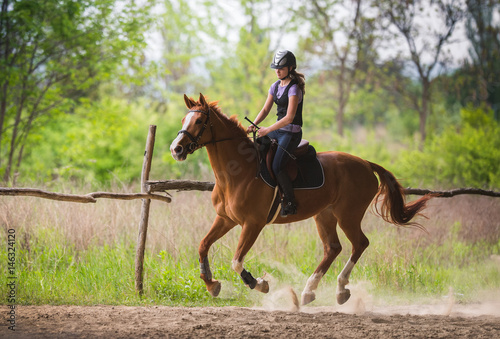 Young pretty girl riding a horse with backlit leaves behind in spring time © Dusan Kostic