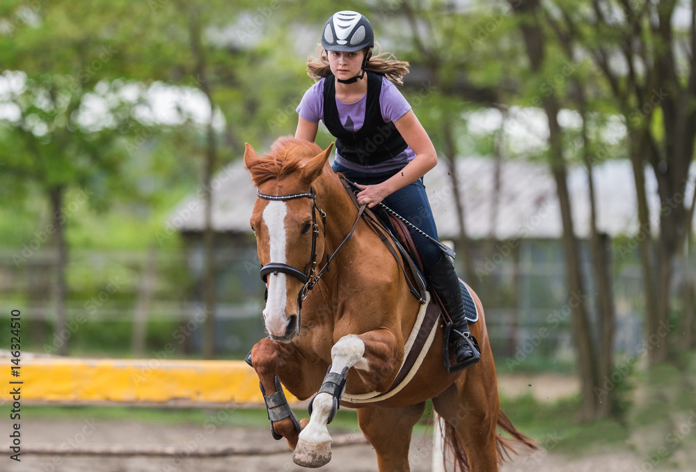 Young pretty girl riding a horse - jumping over hurdle with backlit leaves behind Young pretty girl riding a horse - jumping over hurdle with backlit leaves behind