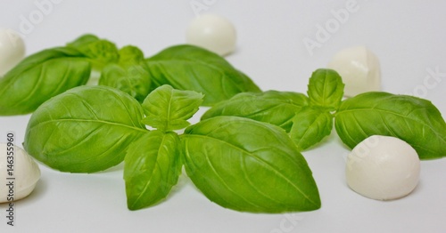 Basil and mozzarella on white background
