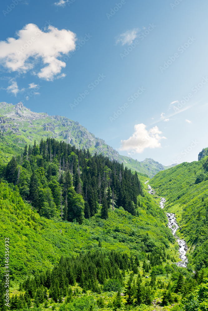 Waterfall in the green valley between the mountains in summer, Gorgit Highland. Waterfall in the green valley between the mountains in summer, Gorgit Highland.