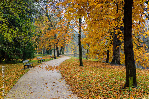 A beautiful autumn landscape. City Park in Warsaw. Lazienki Krolewskie Park  Warsaw  Poland. Lazienki Krolewskie is a popular tourist place in the city center  Warsaw  Poland.