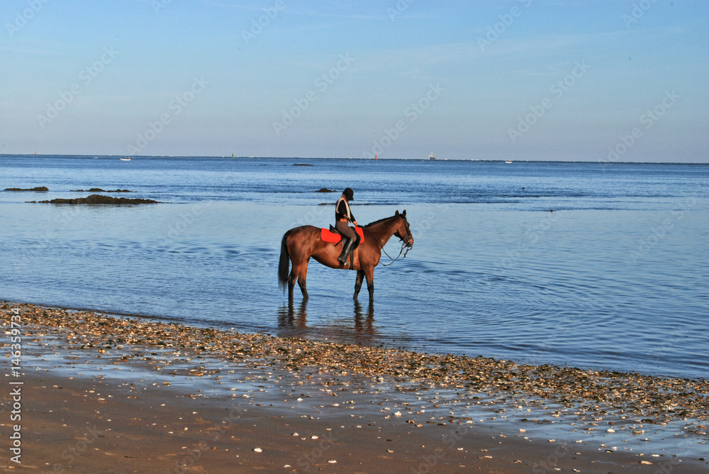 Caballo en la Playa de Sanlucar de Barrameda Caballo en la Playa de Sanlucar de Barrameda