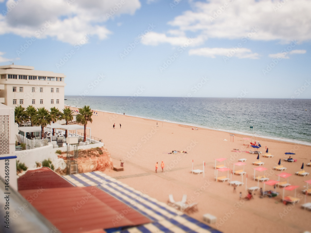 Obraz premium OLYMPUS DIGITAL CAMERA