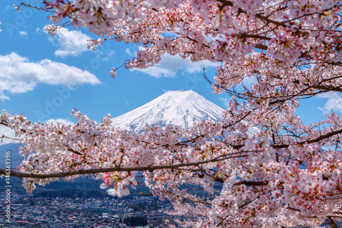 The Mount Fuji and cherry blossoms.The shooting location is Lake Kawaguchiko, Yamanashi prefecture Japan.