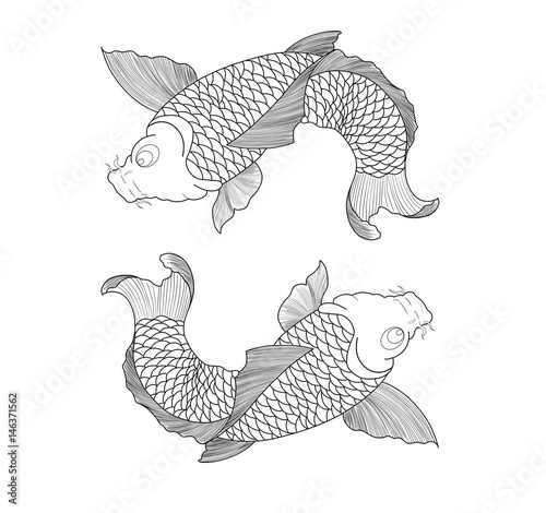 Two Koi fishes dancing, japanese style. Black lines with white background