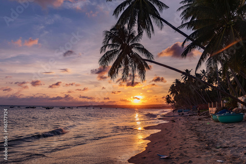 Colorful sunset over the beach in Nui Me, Vietnam. Palm trees, beach and mess on the beach. © murmakova