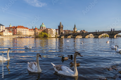 Фотография Fiume Moldava a Praga