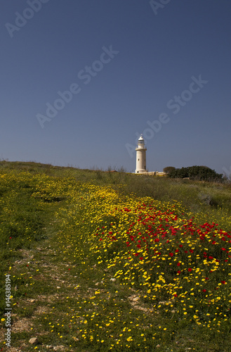 Spring flowers and the lighthouse on Paphos Headland, Cyprus. © tonymills