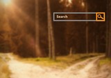Search Bar with forest trees background