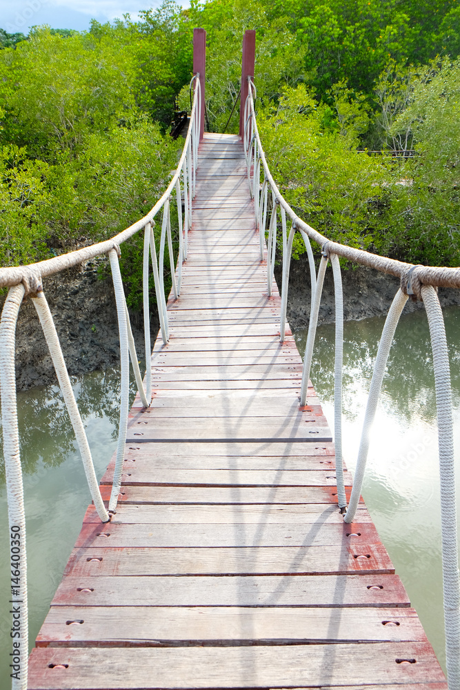 Rope brdige in mangrove forest