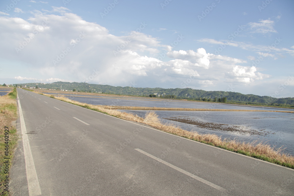 Strada italiana in mezzo alla risaia