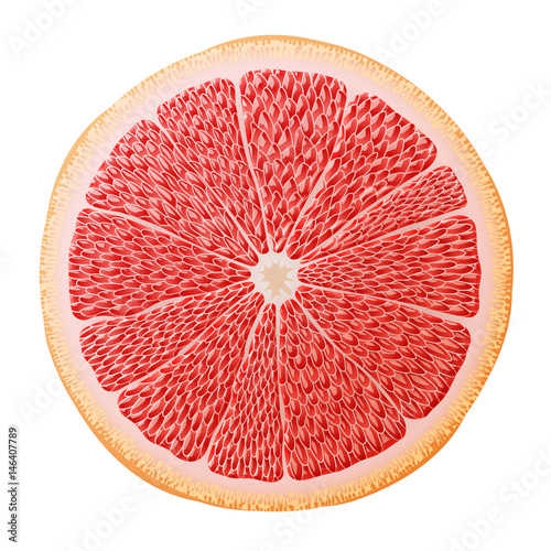 Grapefruit slice close up. Section of grapefruit fruit isolated on white background. Qualitative vector illustration about fruits  agriculture  cooking  food  gastronomy  etc