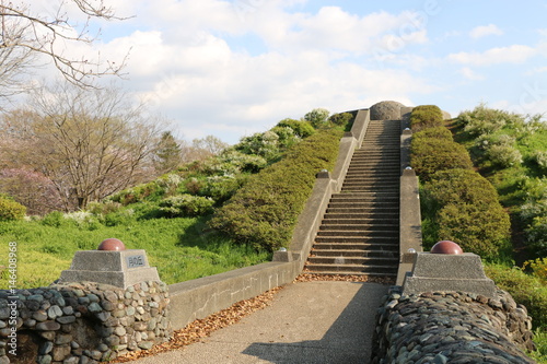 公園の丘