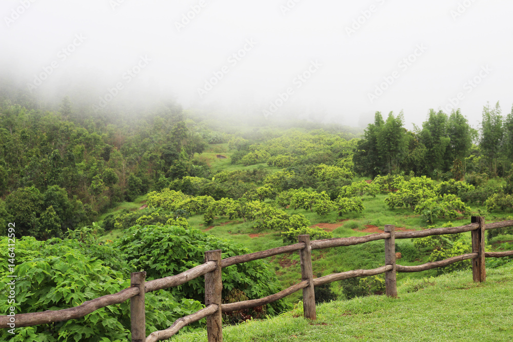 Wood fence on the top with fog covered