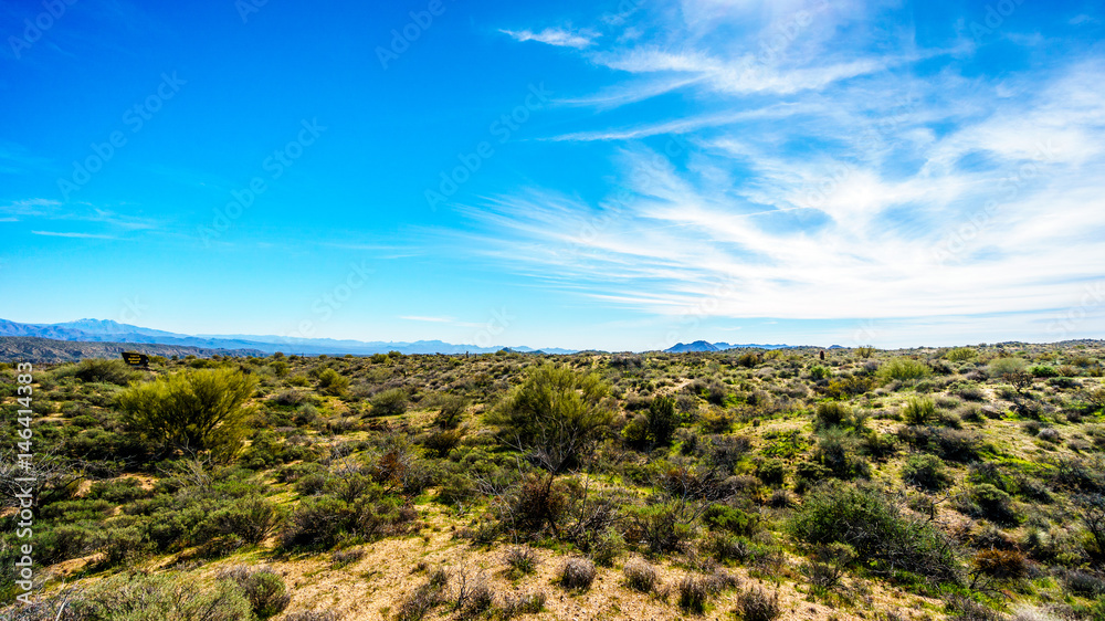 Semi desert landscape and distant mountains under blue sky in Tonto National Forest  in the Arizona Desert in the United States.