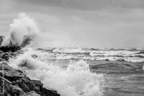 Waves on Lake Michigan in Black and White