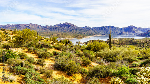 Slika na platnu Lake Bartlett and the surrounding semi desert of Tonto National Forest in Arizon